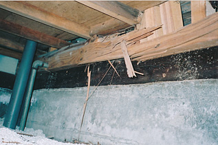 白蟻被害 写真（床下部材）イメージ10