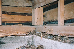 白蟻被害 写真（床下部材）イメージ3