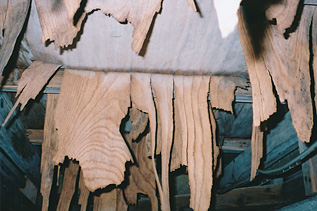 シロアリ 被害 画像（床下部材 腐朽）イメージ3