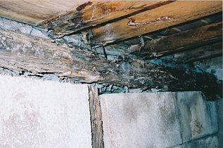 シロアリ被害 画像（床下 腐朽）イメージ3 